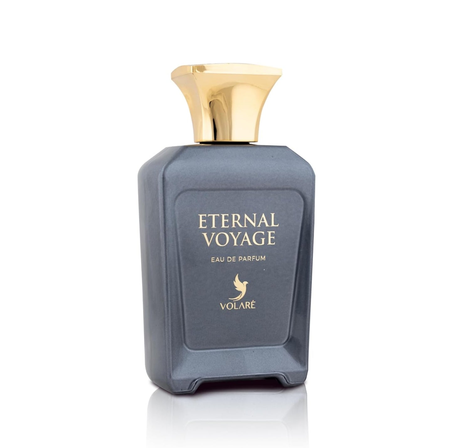 Volare, Eternal Voyage Eau De Parfum for Men -100ml | Fresh Aquatic & Woody Scent with Sea Notes, Grapefruit, Jasmine & Patchouli