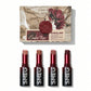 Sheglam Ember Rose Dynamatte Boom Long-lasting Matte Lipstick set 2.7gx4